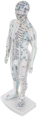 LRXIYODE Manichino Meridiani Uomo per Agopuntura, Didattico in Plastico Bianco, Simulazione Realistica del Corpo per Cliniche e Massaggio