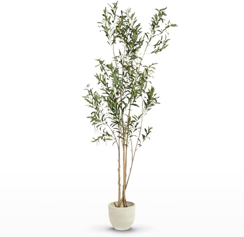MAIA SHOP Olivo Artificial Flair 210 cm - Árbol Realista de Interior | Olivo Artificial con Tronco Natural y Aceitunas para Salón Recibidor Oficina - Maceta Negra Incluida