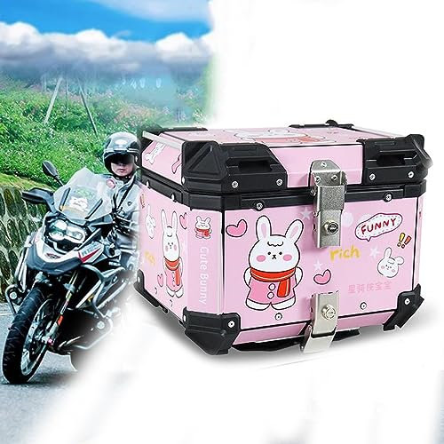 NILZA Motorradkoffer Top Case 45L Aluminium Motorrad Topcase Kofferraum Roller Koffer Mit Schlüsseln Helmkoffer Aufbewahrungskoffer Für Roller Motorrad (Color : Pink)