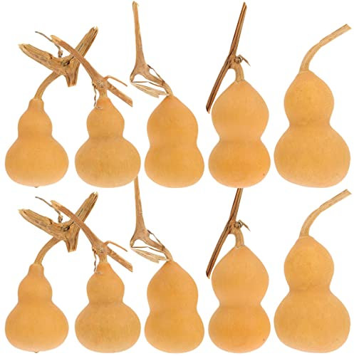 DIYEAH 10 Pezzi Di Ornamenti Di Zucca A Forma Di Zucca Ornamenti Di Zucca Artigianato Di Zucca Da Tavolo Decorazioni Per La Casa