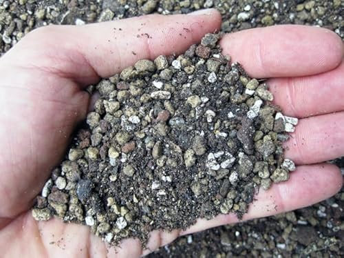 GEOSISM & NATURE - Terriccio per piante grasse, terriccio cactus, substrato professionale per cactacee e succulente, ideale per un terreno dreanto, areato, leggero e ricco di nutrienti (1 lt)