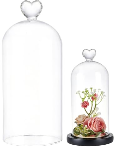 UNICRAFTALE Clear Glass Bell Jar 9x21cm Glass Dome Cloche Antique Collectibles Dome Showcase Decorative Bell Jar with Heart Handle for Plants Fairy Lights Table Decor Medal Photos