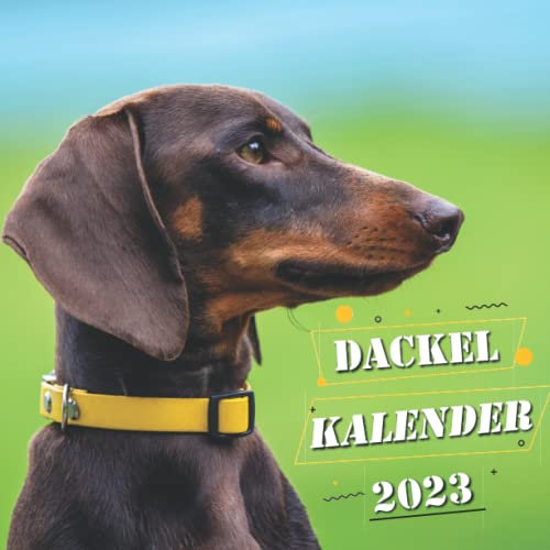 Kalender Dackel 2023:: 12 Monatsraster Platz für Pläne und Zeitpläne, mit schönen hochwertigen Bildern für Dackel.20,32 x 40.64 cm Geöffnet.