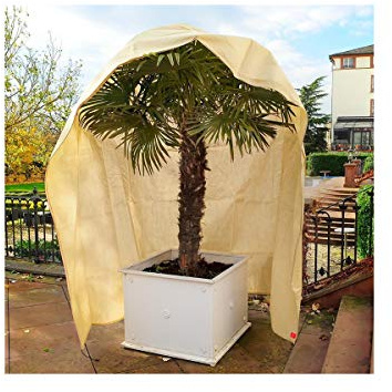 Housse d'hivernage et de protection pour plantes 200x300cm avec fermeture glissière