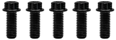 RISON-Titanium Titanschrauben M10x1.25x25mm, 5 Stück Flanschschraube Torx Kopf Flansch Schrauben Sechskantschrauben Gewindeschrauben GR5 Titanbolzen Befestigungen für Motorräder Fahrrad Auto