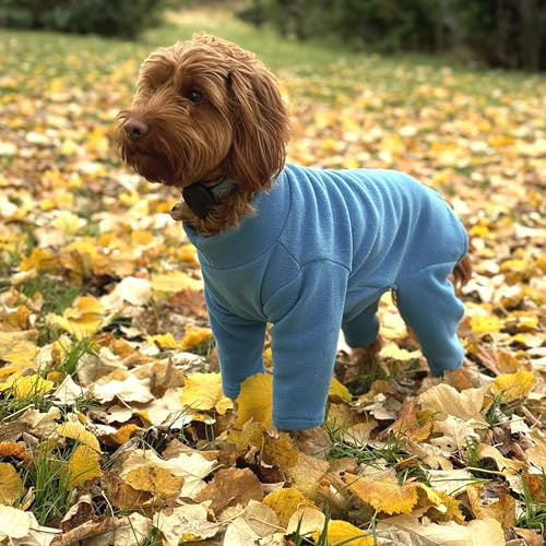 Warm Four-Legged Dog Fleece – Super Soft, Weather-Resistant (Teal, X-Small)