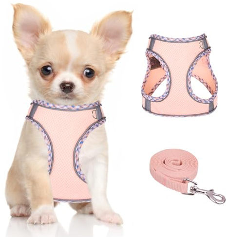 DoggieKit Hundegeschirr mit Leine für Kleine mittelgroße Hunde Gepolstert | Geschirr, reflektierendes, verstellbares, Atmungsaktives Mesh, leichtes, weiches, no-pull, für extra kleine mittelgroße Hunde