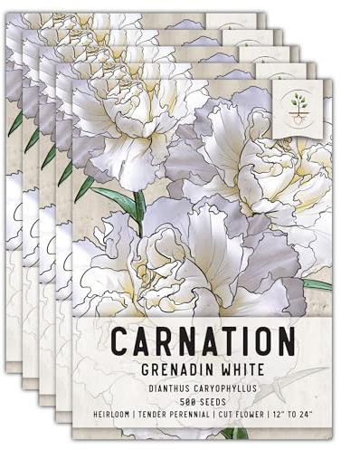 Seed Needs Carnation Seeds for Planting Grenadin White Carnations - Heirloom & Open Pollinated Annual Flower Seed to Plant and Grow a Butterfly Garden