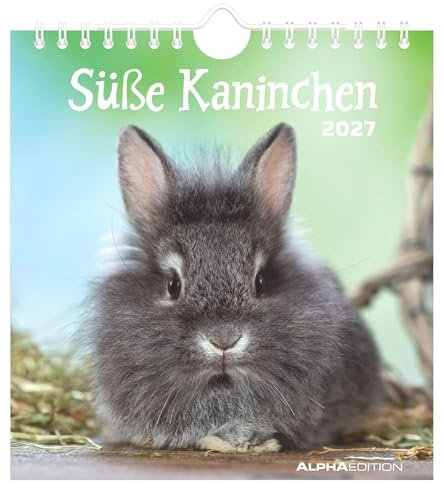 Süße Kaninchen 2027: Postkartenkalender 16x17 cm mit 12 Kaninchenmotiven, Tisch- und Wandkalender, 12 Postkarten zum Heraustrennen | Postkartenkalender 16x17 cm mit 12 Kaninchenmotiven, Tisch- und Wandkalender, 12 Postkarten zum Heraustrennen