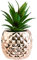 Planta suculenta artificial en maceta de porcelana, con forma de piña, 19,8 cm, para la decoración del hogar y el jardín.