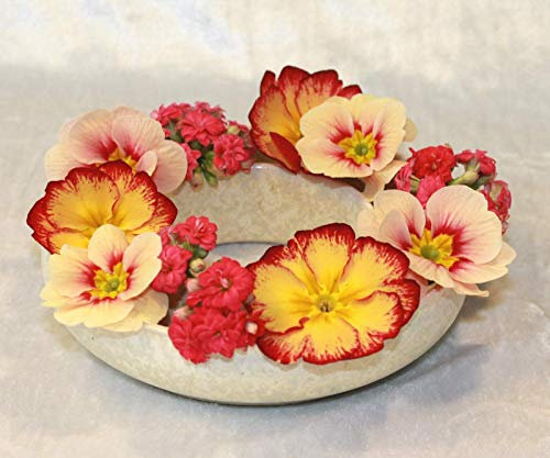 Blumenring Keramik weiße Kristallglasur, schöne Dekoraton - ideales Geschenk