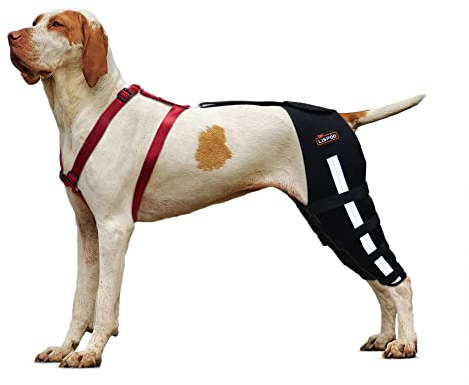 KERBIY Hunde-Kniebandage für Hunde mit gerissenem Rücken, Luxating Patella, Kreuzband, Hunde-Kniebandage bietet Unterstützung und Schutz, Hunde-Hinterbeinbandage lindert Gelenkschmerzen durch