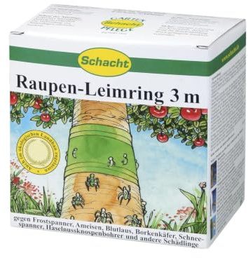Schacht Raupenleimring Rekord, Länge 3m