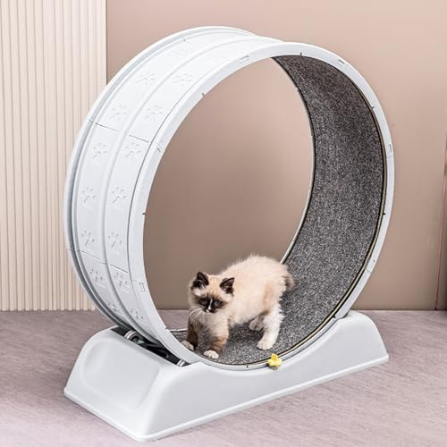 Yagosodee Cat Exercise Wheels 31. 1 Inch for Indoor,Low Noise Cat Running Wheel Cats with Carpeted Runway,Cats Treadmill Wheel Exerciser with Locking Mechanism Fitness Weight Loss for Pet Lovers,Grey