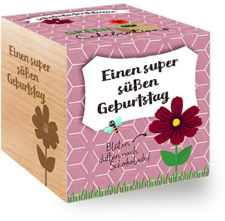 Feel Green 296619 Celebrations Ecocube, Schokoladenblume, Holzwürfel Mit Lasergravur «Einen Super Süßen Geburtstag», Nachhaltige Geschenkidee, Anzuchtset, Made in Austria