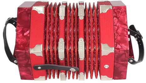 Btuty Accordion Acordeon Concertina Accordion Instrument Acordion 20-Button 40-Reed Anglo Style with Carrying Bag (Red)