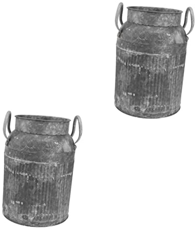 HAMPPLIES 2 Pièces Pot à Fleurs Vintage Style Seau Ancien pour Décoration Intérieure et Extérieure Vase à Plantes pour Salon Chambre et Balcon Contenant Floral et Élégant
