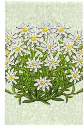 GRatka Edelweiss Schweizer Bergblumen, Waffel-Geschirrtücher, saugfähig, Geschirrtuch, Abtropftuch, Geschirrtücher, 41 x 66 cm