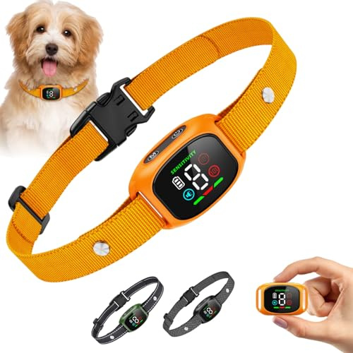 Kuisoe Barkey – husdjursvänligt halsband som minskar skällande fall – är lämpligt för dagligt bruk och resor och ger säkerhet (orange)