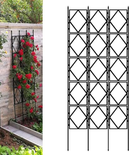 Treillis de jardin en métal noir pour plantes grimpantes avec revêtement en polyéthylène (60 cm x 220 cm) cadre durable pour lierre, vigne, roses et fleurs