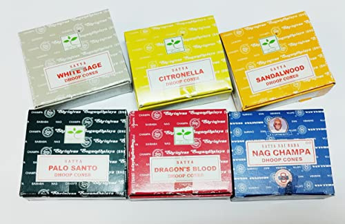 Satya - Set di coni di incenso, salvia bianca, Nag Champa, legno di sandalo, Dragons Blood, Palo Santo, Citronella con magnete JR Souvenir SC21
