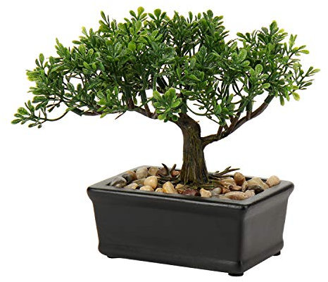 Hollyone Artificial Bonsai Tree - Indoor Plant, Japanese Podocarpus Decoration for Home and Desk