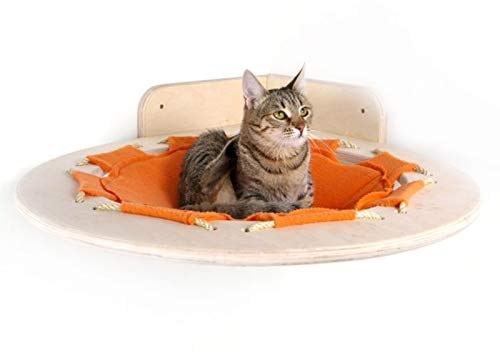 Klettergerüst für Katzen, Hängematte für Katzen, Wandmontage, Klettergerüst für Katzen, Moderne Holzbetten und Sitzstangen, hochwertige Katzenmöbel zum Schlafen, Spielen, Klettern und Faulen