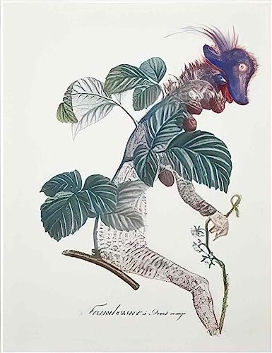 Salvador Dali photo A4 salvador dali framboisier raspberry bush