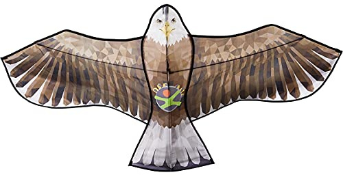 HABA 306016 - Terra Kids Flugdrache, Flugobjekt ab 8 Jahren, Grün, Braun