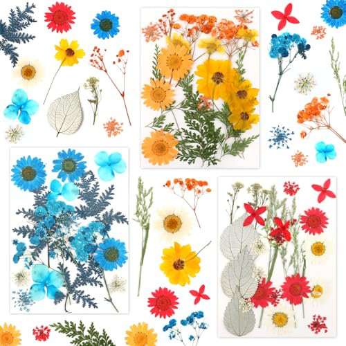 MXTIMWAN 60 Pezzi Fiori Secchi Decorativi, Fiori Essiccati, Fiori Decorativi, Fiori Pressati Secchi Flowers Naturali Misti Set, Fiore Secco Multicolore per DIY Candele Resina Scrapbooking Artigianato