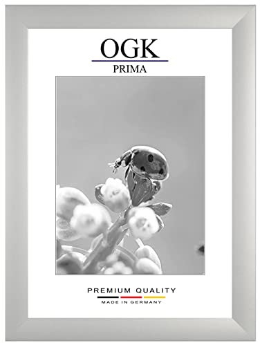 Online-GalleryKing OGK Holz Bilderrahmen 40 x 110 cm in Silber-matt | Foto | Poster | Puzzle | Galerie | Rahmen