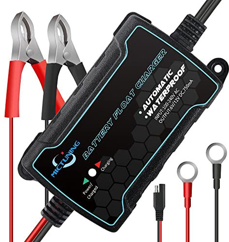 MICTUNING Chargeur de Batterie 12V 4A Mainteneur/Automatique pour Voiture, Moto, Bateau et Plus Encore