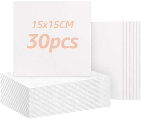ZOFUN 30 stycken målarduk för målning, duk 15 x 15 cm, duk med kilram miniduk små dukar för akryl oljefärger strukturpasta nybörjare studenter konstnär