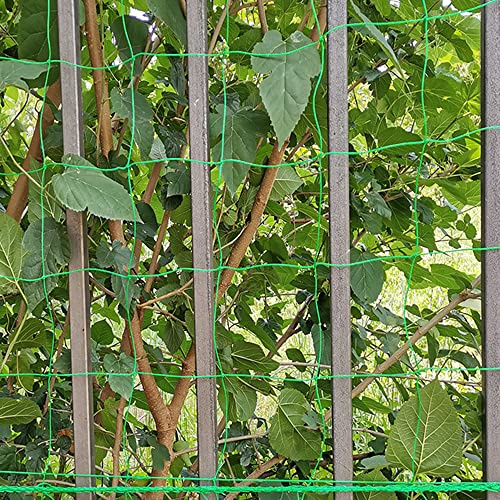 Plant Support Garden Netting Trellis Mesh 1.8X3.6 Meters, PE Trellis for Sweet Peas, Pea Netting,Bean Supports, Fruit Garden Mesh Netting for Bean Fruits Climbing Plant