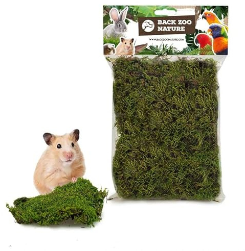 Generic Muschio naturale di foresta da 70 g, 100% naturale, ideale per criceti, ratti, degus e cincillà, perfetto e fedele