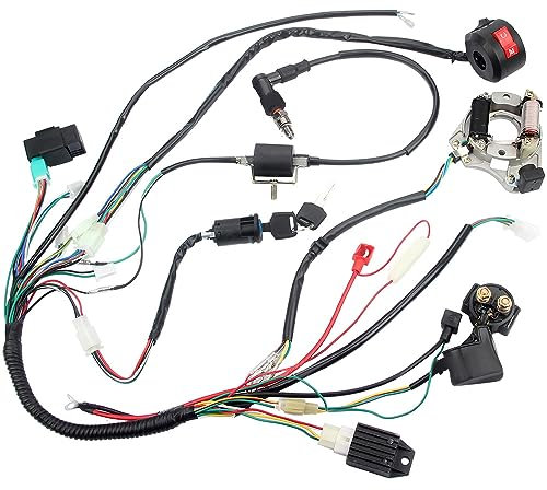 Riloer 1x Faisceau de câblage CDI Kit d'allumage pour 49 cc 50 cc 80 cc 90 cc 100 cc 110 cc 125 cc ATV/QUAD/Dirt Bike/Kawa-saki KLX/Coolster/Go Kart
