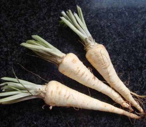 Fresco Amburgo Radicati Prezzemolo 1000 Semi Non OGM ez Grow