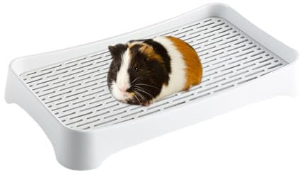 Kaninchentoilette, Kaninchentoilette – Kleine Kaninchentoilette, Haustiertoilette, Kaninchentoilette, Kaninchenstreu Langlebige Kaninchentoilette, kompakte Katzentoilette für Haustiere, Kaninchentoile