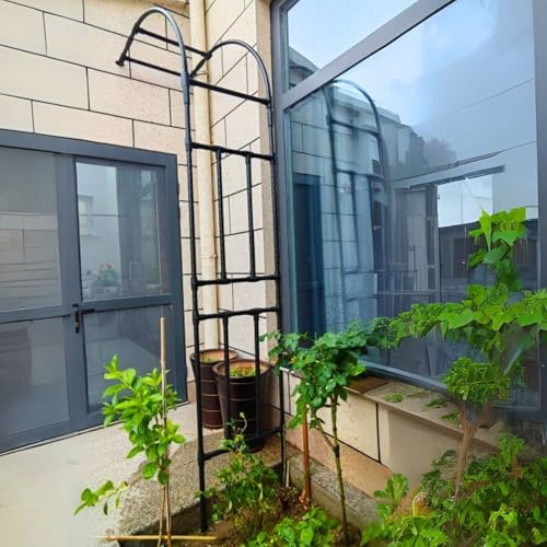 Arche de jardin pour plantes grimpantes, pergola en métal pour roses et vignes, support de décoration extérieure, arche noire durable (120 x 240 cm), parfaite pour l'aménagement paysager de jardin