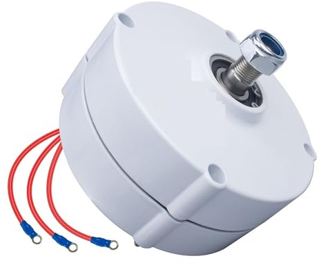 Generatore eolico, Generatore di magneti permanenti a terre rare NdFeb a basso numero di giri da 100 W, 12 V, 24 V, for turbina eolica orizzontale fai da te per nautica, camper, casa(AC12V,100W)