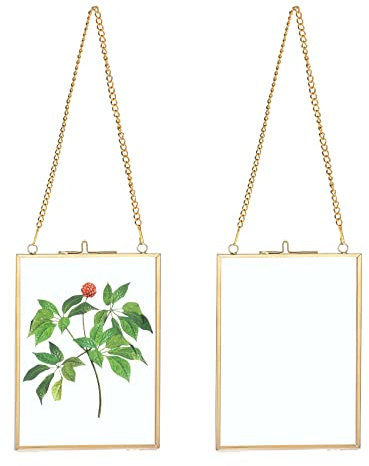SUMTree 2Pcs Glas Bilderrahmen Hängende mit Ketten Fotorahmen Pflanze Probe Glasrahmen für gepresste Blumen Foto Bilder Nur Glasrahmen（Golden,13x18cm,Rechteck）