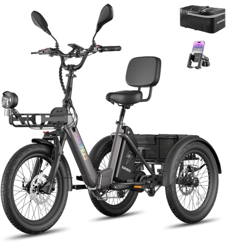Fafrees F20 Mate II Klappbares Elektro Dreirad | Unisex für Damen & Herren | 250W Motor, 48V 21Ah Akku, 180kg Traglast, Hydraulische Bremsen – Ideal für Stadt & Senioren