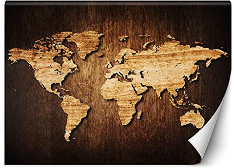 Feeby Papier Peint Intisse Imitation Bois Abstrait 300x210 cm marron Moderne Panoramique XXL Photo Mural Muraux Chambre Bureau Salle Carte Des Contours Continents