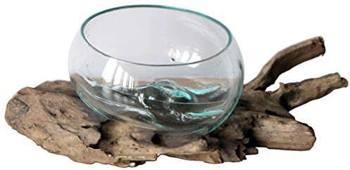 Geschenk Deko Gamal Wurzelholz Glas Ø ca.15 cm Wurzel Holz Teakholz Vase Schale M