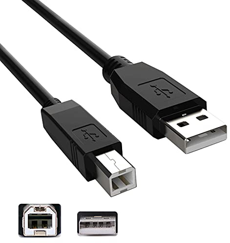 Lunling 3 m USB A mâle vers B mâle câble Cordon Transfert de données Cordon de câble hôte pour Cameo Silhouette Outil de découpe électronique Machin