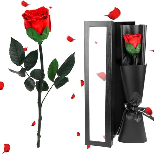 MplehDa Infinity Rose, Ewige Rose, Echte Rose Ewige Infinity Rosen, Rot Rose Blumen mit Stiel Geschenke für Frauen, Eternal Rose Geburtstagsgeschenk Jahrestag Geschenk Valentinstag Muttertag