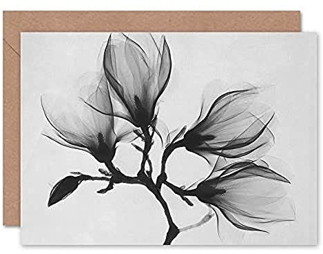 Fine Art Prints CLRK0048 Magnolia Branch Xray Photo Greeting Card With Envelope Inside Premium Quality