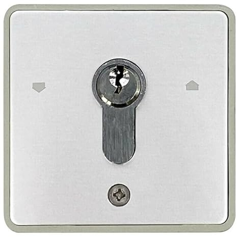 Dieffematic Selettore da Esterno con Chiave e Cilindro Europeo 198-I - Ricambio Controllo Accessi in Alluminio