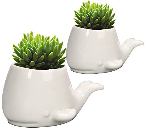 GeLive Set von 2 Wal weiß Keramik Sukkulenten Pflanzgefäß Luft-Pflanztopf Fensterkasten dekorative Behälter 4 Zoll Indoor Outdoor Verwendung