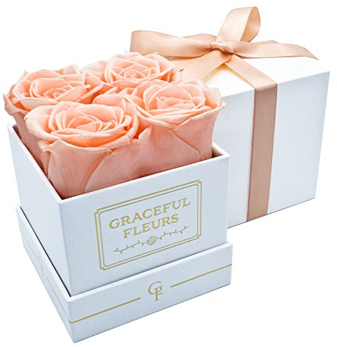 Graceful Fleurs Real Long Lasting Roses in a Box for Years, Preserved Fresh Forever Flowers for Delivery Birthday, Mothers Day Floral Gifts for Women (Light Peach, White Box, 4 Roses)